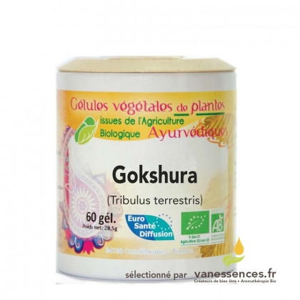 Gokshura bio. Gélules de poudre de fruit de Tribule plante ayurvédique