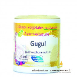 Gomme de Guggul. Gélules de poudre de Myrrhe Commiphora mukul ou Gugul