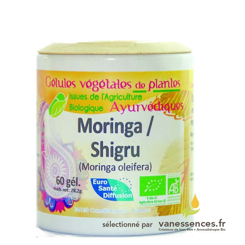 Gélules de poudre de Moringa bio ou Shigru - Moringa oleifera 