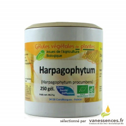 Harpagophytum procumbens - 250 Gélules de poudre de plante bio
