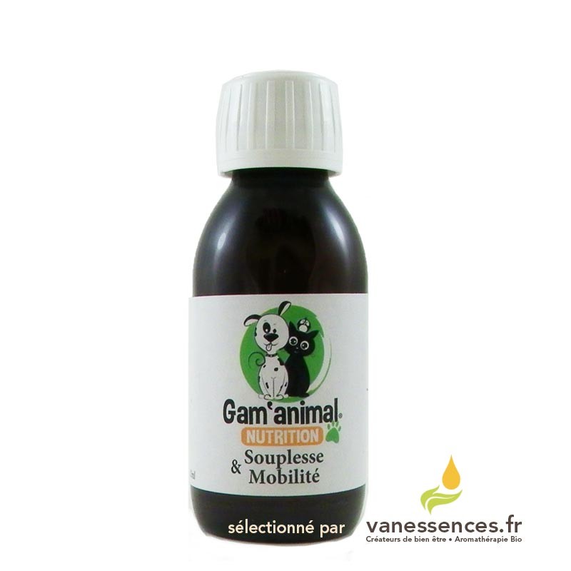 Traitement Naturel Pour L Arthrose Rhumatisme Du Chien Ou Du Chat