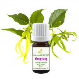 Huile essentielle BIO HECT Ylang ylang - Cananga odorata extra totum