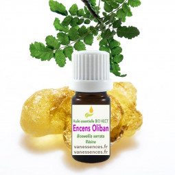 Boswellia serrata huile essentielle d'Encens Oliban Bio HECT