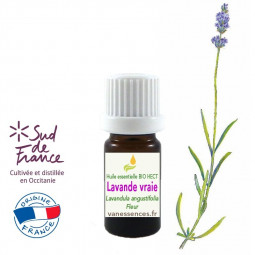 Huile essentielle de Lavande vraie fine Lavandula angustifolia. Cultivée et distillée en France Occitanie. Qualité BIO HECT.