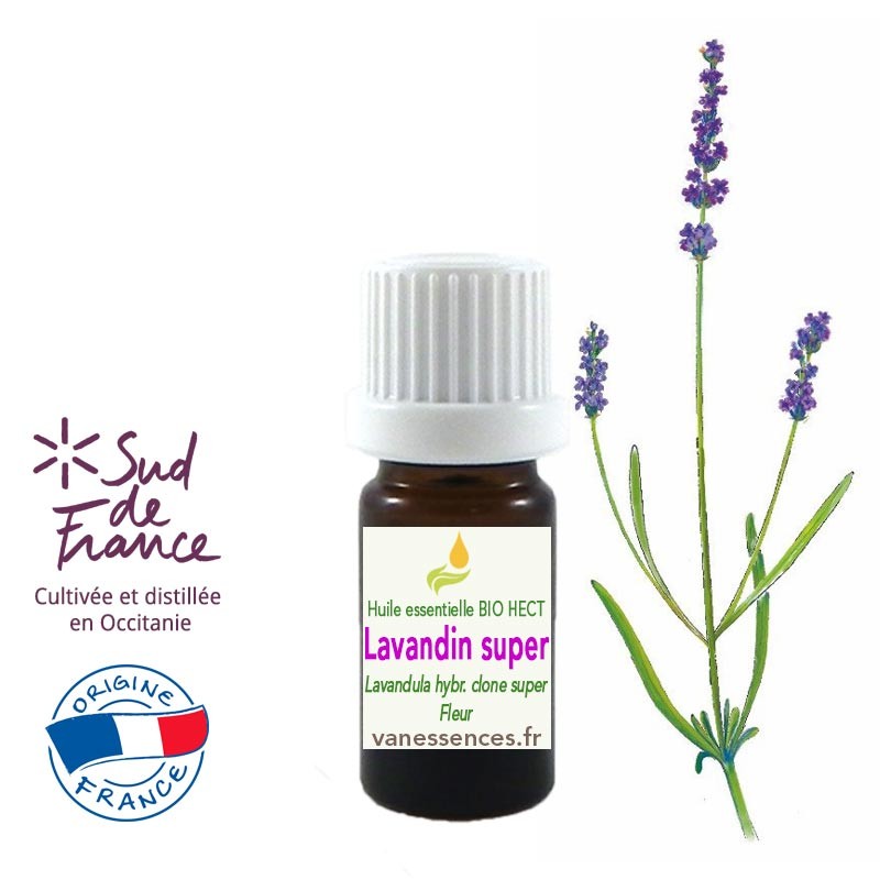 Huile essentielle de  Lavandin super - Lavandula hybr clone super. Cultivée et distillée en France Occitanie. Qualité BIO HECT.