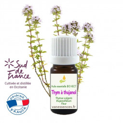 Thym à thujanol ou tuyanol Thymus vulgaris thujanoliferum - Huile essentielle  BIO HECT 100% pure origine France