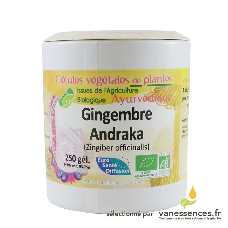 Gingembre bio en Gélules poudre de rhizome de Zingiber officinalis