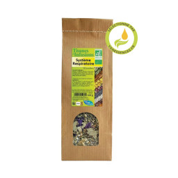 Tisane Bio Système respiratoire