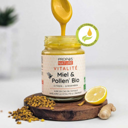 Miel bio Pollen Citron Gingembre VITALITE