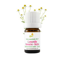 Huile essentielle de Camomille noble ou Romaine - Chamaemelum nobile - HECT origine France