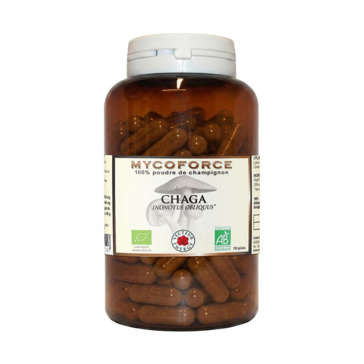 Gélules de Chaga (Inonotus obliquus) 100 % poudre de champignon