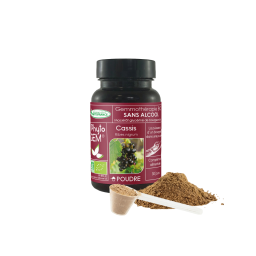 Cassis bourgeon bio sans alcool en poudre libre