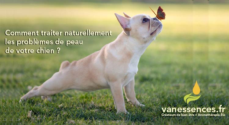 Comment traiter naturellement hot spot et dermatite atopique chez 