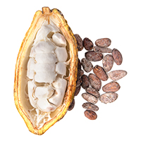 Beurre de cacao