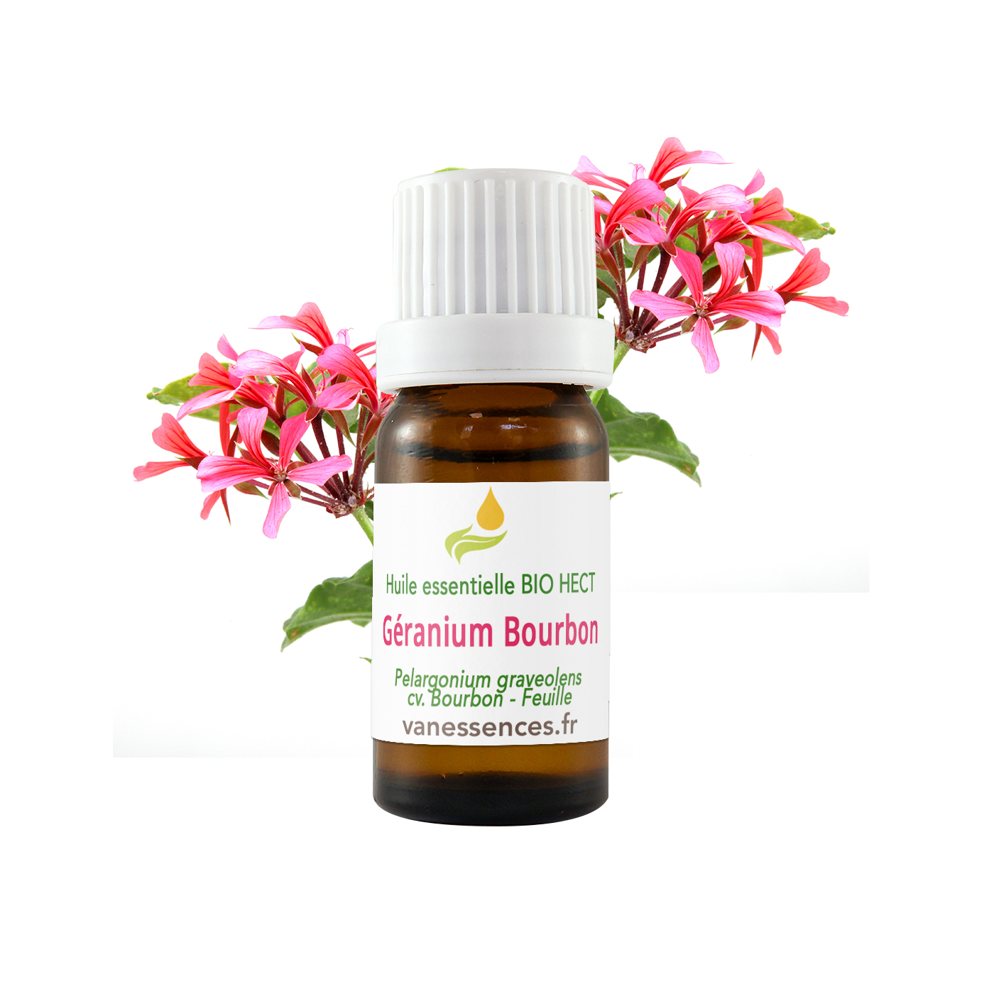 Huile essentielle bio de Géranium bourbon