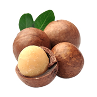 Extrait de propolis
